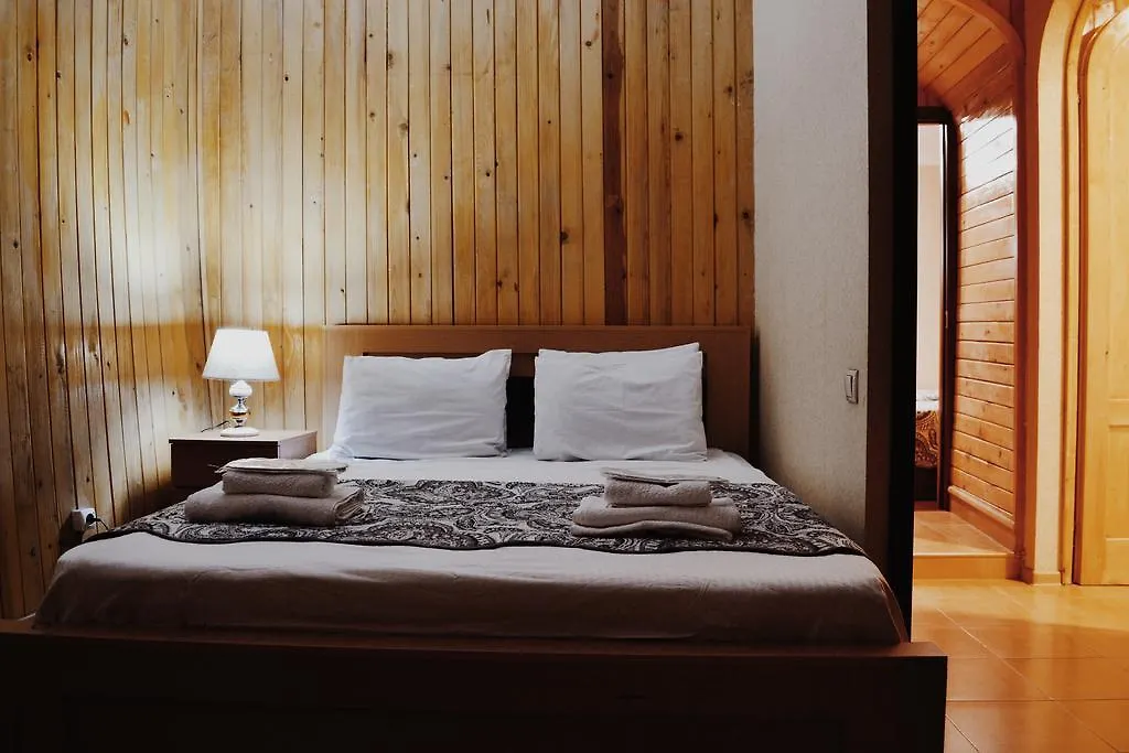 Arta Hotel Τυφλίδα 3*,